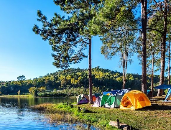 Glamp Care, Ayo Ber-glamping Sambil Peduli