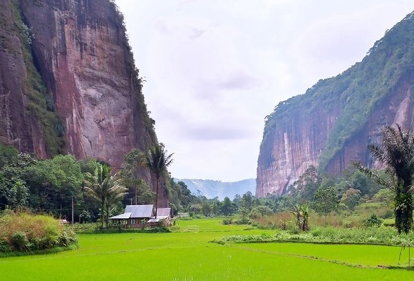 Lembah Harau, Jurang Raksasa 699 Hektar