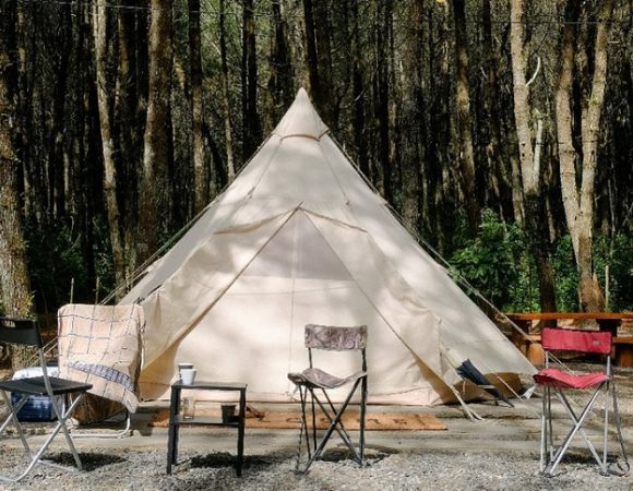 Jungle Milk Jayagiri Glamping di Peternakan Kuda