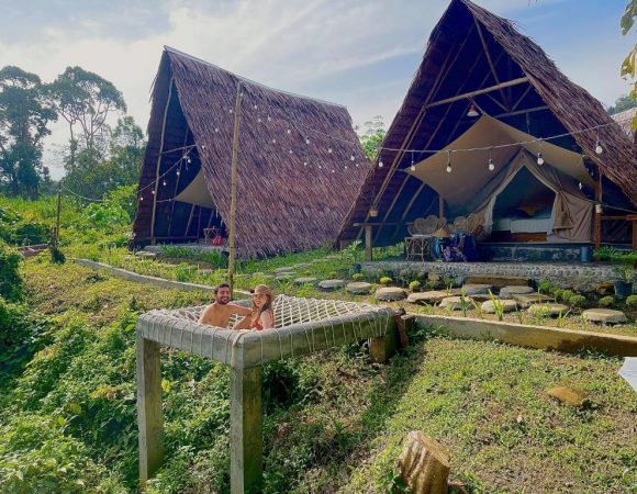 Tangkahan Eco Glamping Dekat Gajah Sumatera