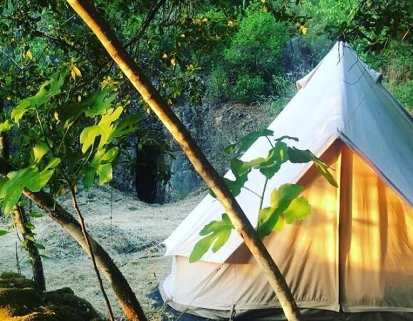 6 Jenis Tenda Glamping