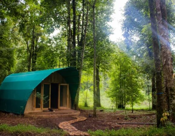 Hejo Forest Glamping Dua Kolam Air Panas