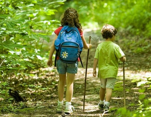 Ayo Trekking di Gunung Pancar Sentul