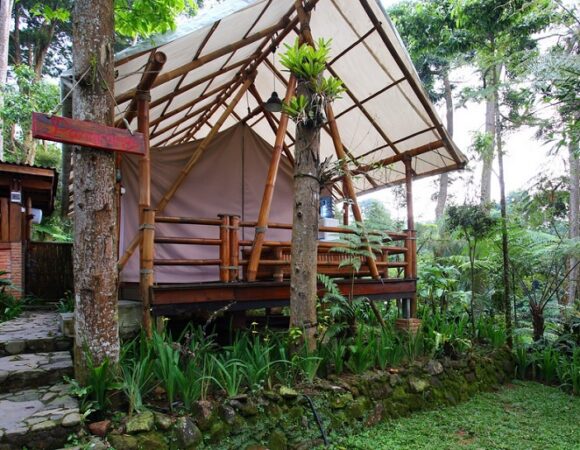 Pondok Rasamala Glamping Rasa Pedesaan