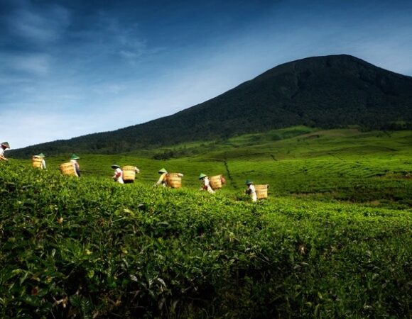 Yuk Menjelajah Pagaralam