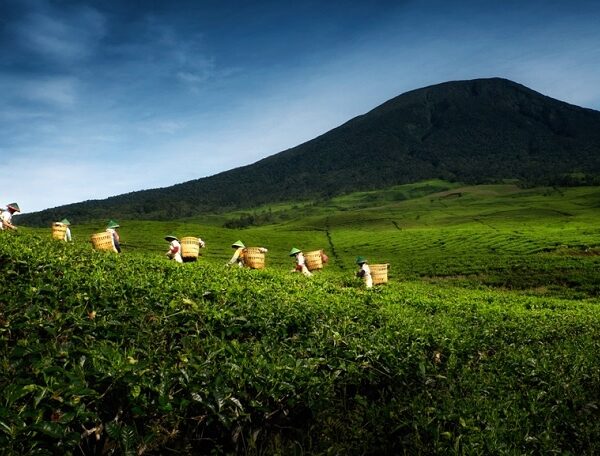 Yuk Menjelajah Pagaralam