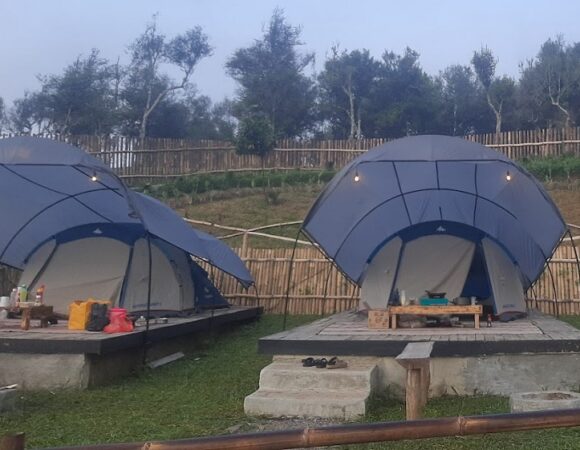 Malabar Forest Glamping Kebun Teh Pangalengan