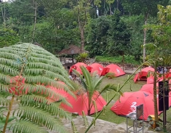 Pinus Camp 2 Camping Rafting Kaki Raung