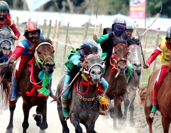 Tradisi Balap Binatang di Sumbawa