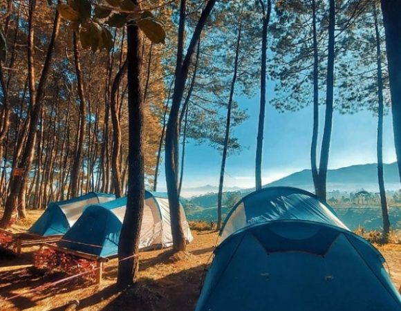 Datar Pinus Camping Pangalengan