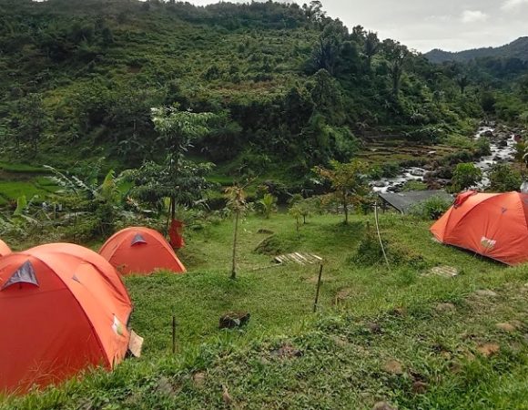 Goes Camp Camping Sentul Tengah Sawah