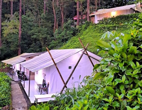 Masada Village Glamping Puncak Tenda Lega