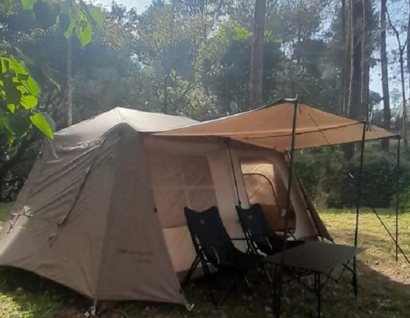 Pinea Forest Camping Plus Es Krim