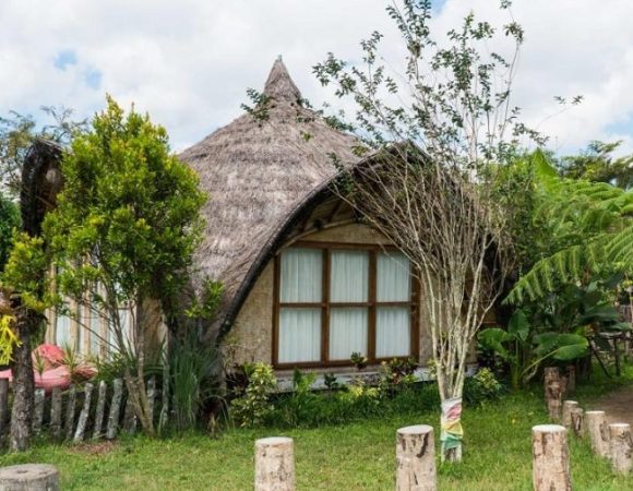 Aranka Tempasan Glamping Lombok di Sawah