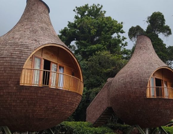 The Ciliwung Glamping Kabin Bawang Telaga Saat