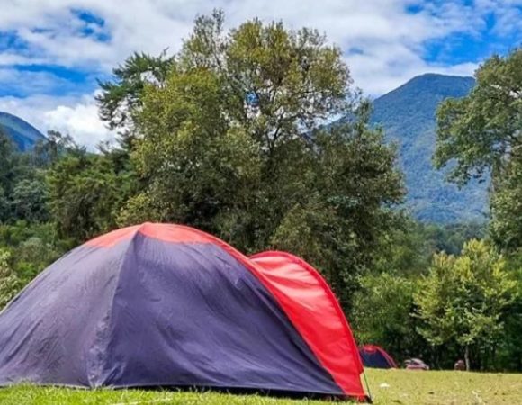 Mandalawangi Cibodas Camping Legendaris