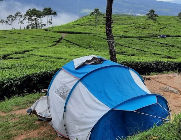 Gunung Luhur Smart Camp Camping Kebun Teh