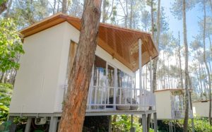 La Pino Batur Glamping di Tengah Hutan Pinus